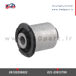بوش طبق کیا پیکانتو